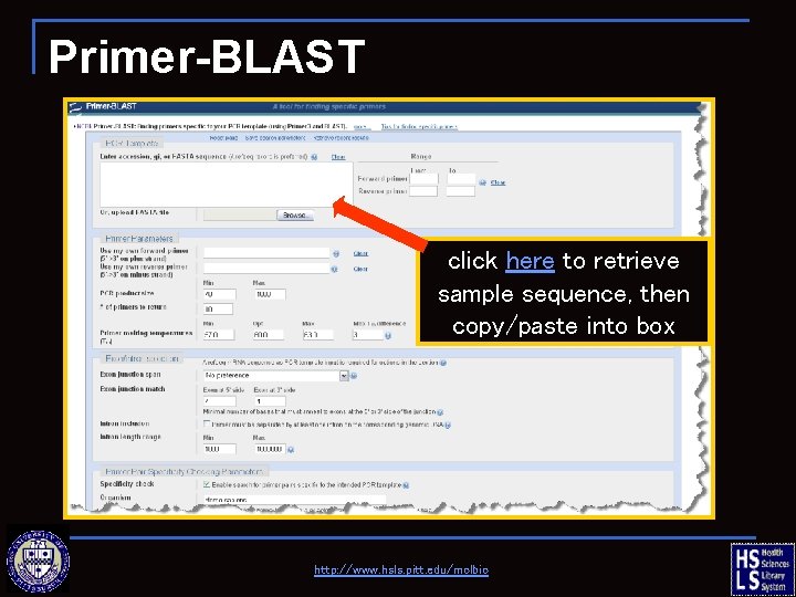 Primer-BLAST click here to retrieve sample sequence, then copy/paste into box http: //www. hsls.