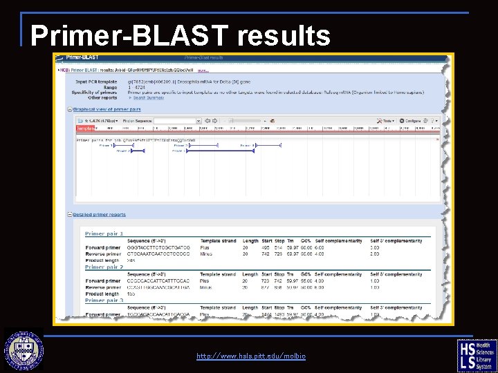 Primer-BLAST results http: //www. hsls. pitt. edu/molbio 