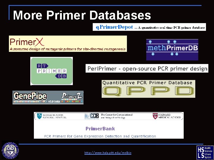 More Primer Databases http: //www. hsls. pitt. edu/molbio 