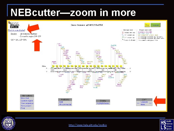 NEBcutter—zoom in more http: //www. hsls. pitt. edu/molbio 