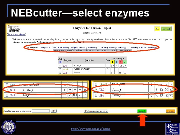 NEBcutter—select enzymes http: //www. hsls. pitt. edu/molbio 