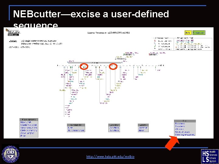 NEBcutter—excise a user-defined sequence http: //www. hsls. pitt. edu/molbio 