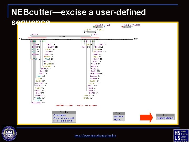 NEBcutter—excise a user-defined sequence http: //www. hsls. pitt. edu/molbio 