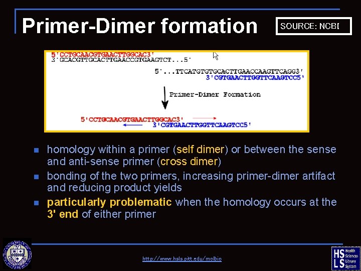 Primer-Dimer formation n SOURCE: NCBI homology within a primer (self dimer) or between the