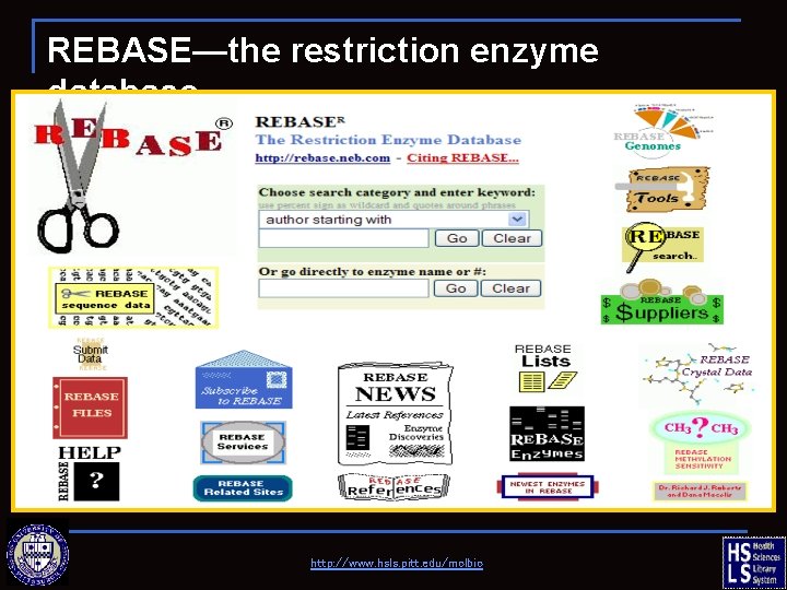 REBASE—the restriction enzyme database http: //www. hsls. pitt. edu/molbio 