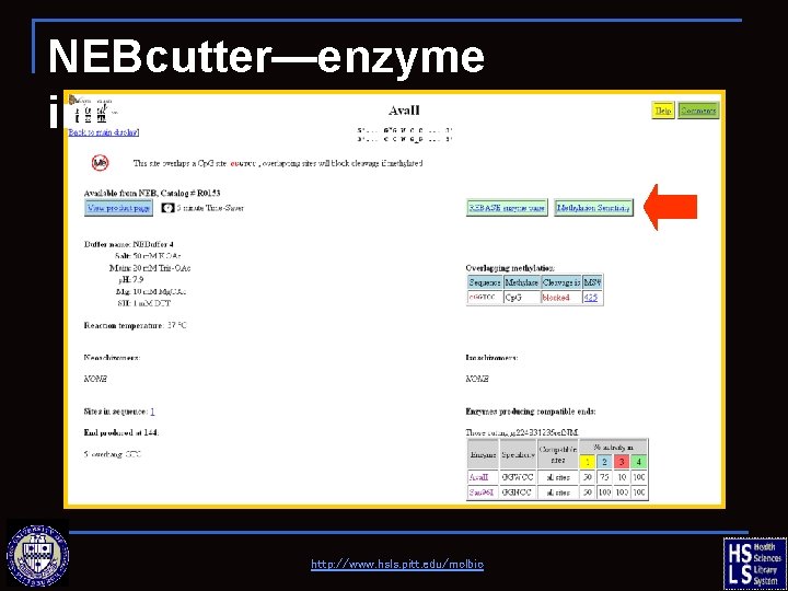 NEBcutter—enzyme information http: //www. hsls. pitt. edu/molbio 