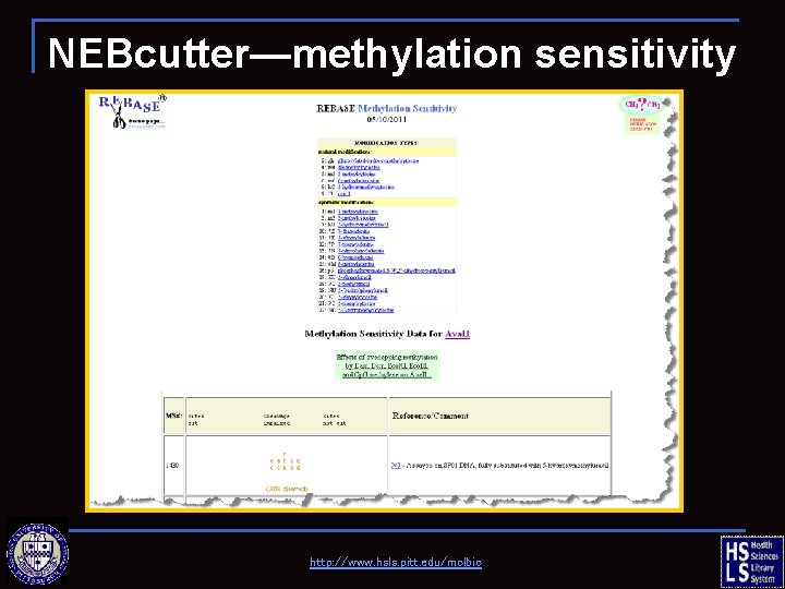 NEBcutter—methylation sensitivity http: //www. hsls. pitt. edu/molbio 