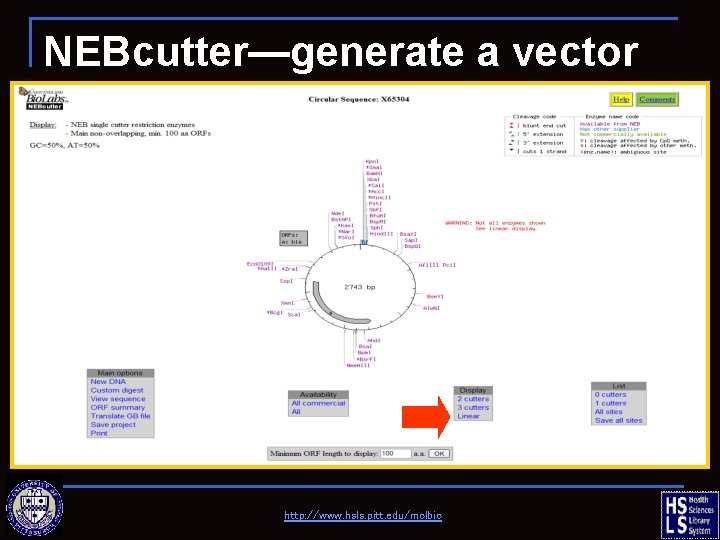 NEBcutter—generate a vector map http: //www. hsls. pitt. edu/molbio 