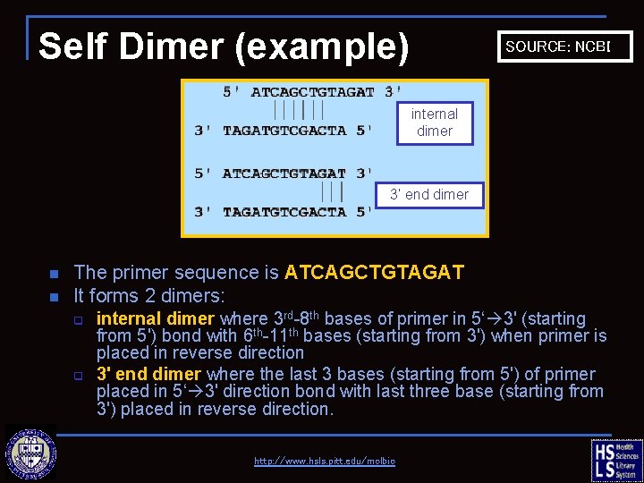 Self Dimer (example) SOURCE: NCBI internal dimer 3’ end dimer n n The primer
