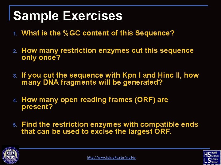 Sample Exercises 1. What is the %GC content of this Sequence? 2. How many