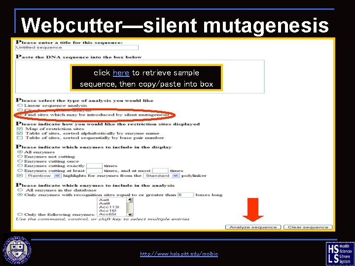 Webcutter—silent mutagenesis click here to retrieve sample sequence, then copy/paste into box http: //www.