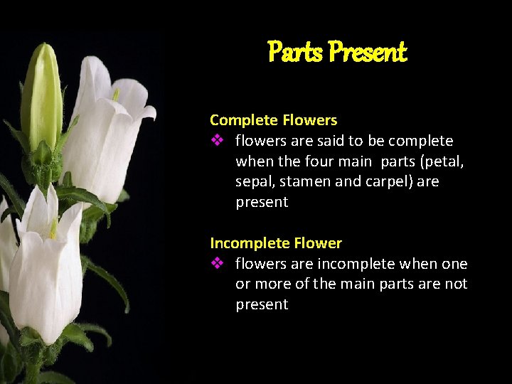 Parts Present Complete Flowers v flowers are said to be complete when the four Parts Present Complete Flowers v flowers are said to be complete when the four