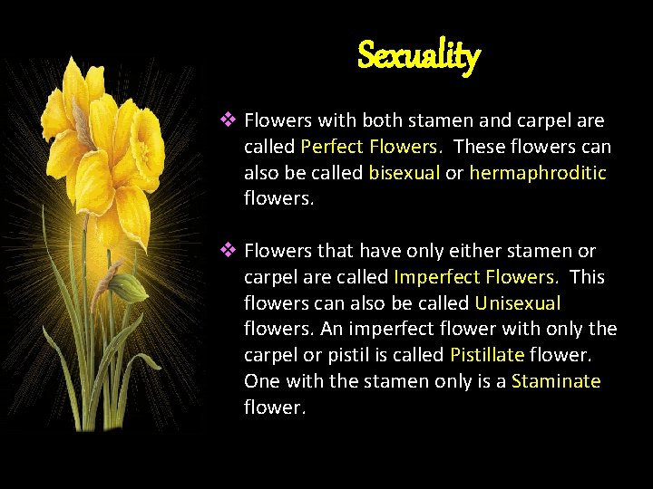 Sexuality v Flowers with both stamen and carpel are called Perfect Flowers. These flowers Sexuality v Flowers with both stamen and carpel are called Perfect Flowers. These flowers