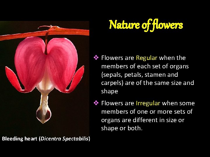 Nature of flowers v Flowers are Regular when the members of each set of Nature of flowers v Flowers are Regular when the members of each set of