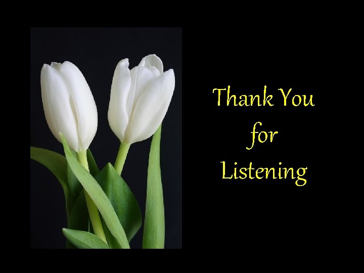 Thank You for Listening Thank You for Listening