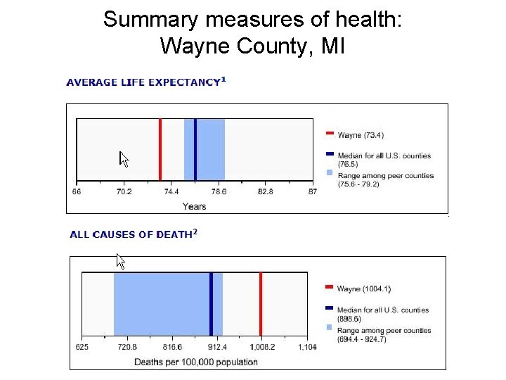 Summary measures of health: Wayne County, MI 