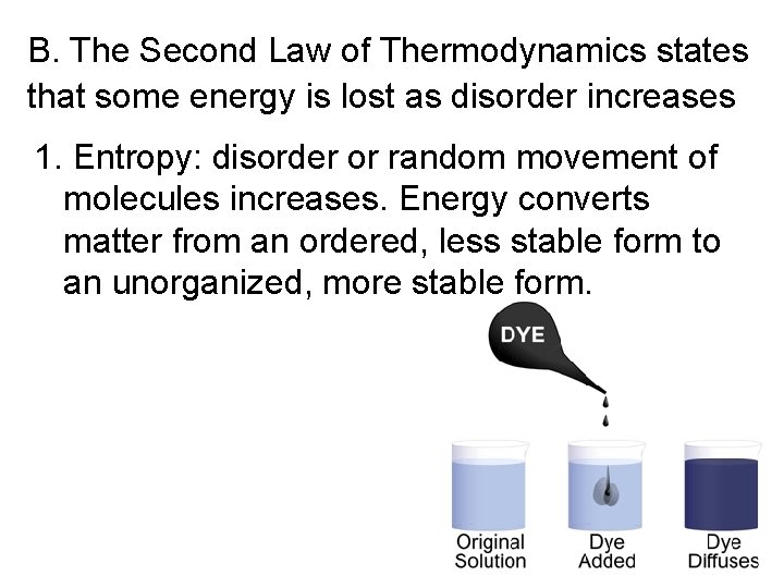 B. The Second Law of Thermodynamics states that some energy is lost as disorder