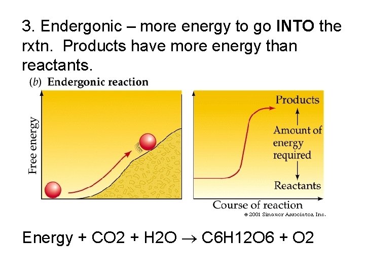 3. Endergonic – more energy to go INTO the rxtn. Products have more energy