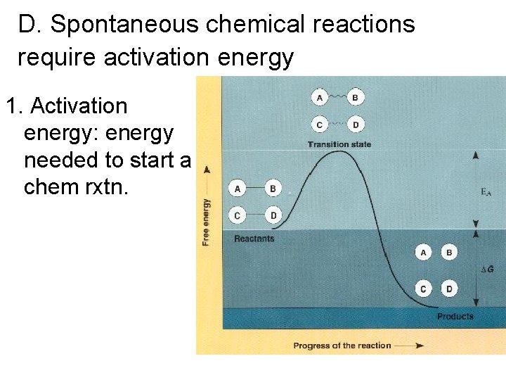 D. Spontaneous chemical reactions require activation energy 1. Activation energy: energy needed to start