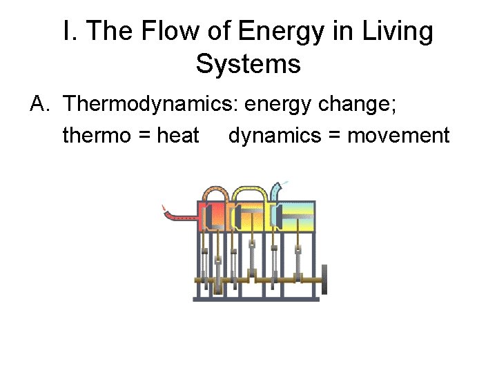 I. The Flow of Energy in Living Systems A. Thermodynamics: energy change; thermo =