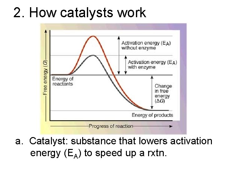 2. How catalysts work a. Catalyst: substance that lowers activation energy (EA) to speed