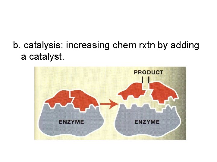 b. catalysis: increasing chem rxtn by adding a catalyst. 