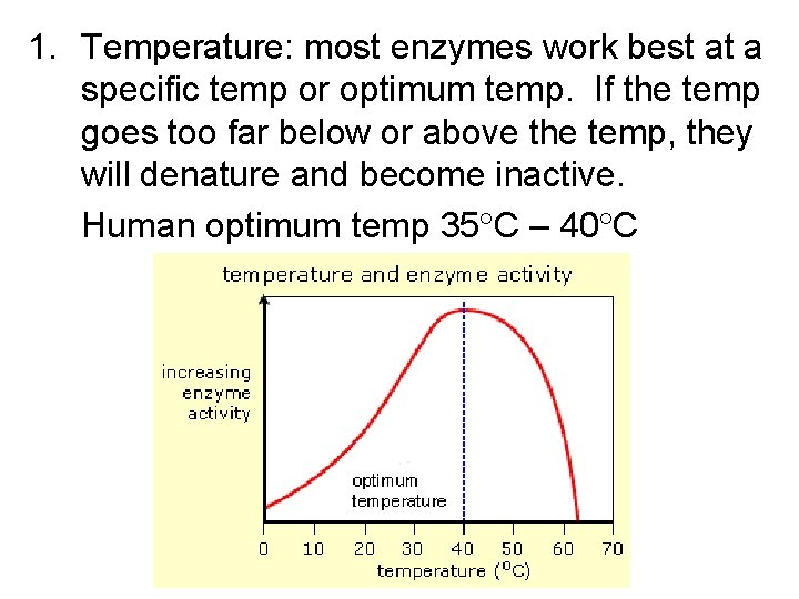 1. Temperature: most enzymes work best at a specific temp or optimum temp. If