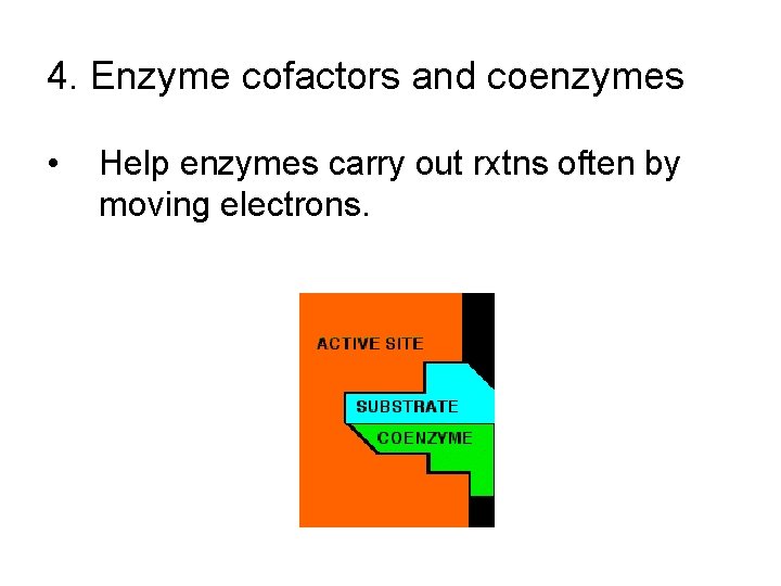 4. Enzyme cofactors and coenzymes • Help enzymes carry out rxtns often by moving