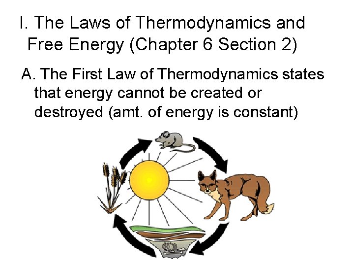 I. The Laws of Thermodynamics and Free Energy (Chapter 6 Section 2) A. The