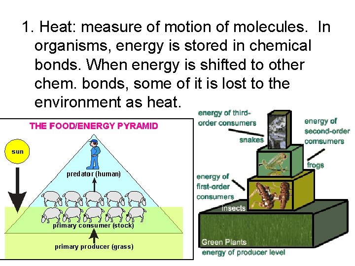 1. Heat: measure of motion of molecules. In organisms, energy is stored in chemical