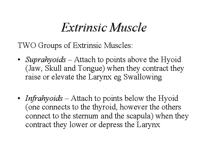 Extrinsic Muscle TWO Groups of Extrinsic Muscles: • Suprahyoids – Attach to points above