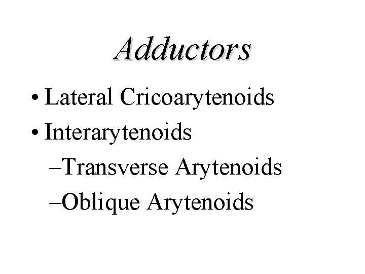 Adductors • Lateral Cricoarytenoids • Interarytenoids –Transverse Arytenoids –Oblique Arytenoids 