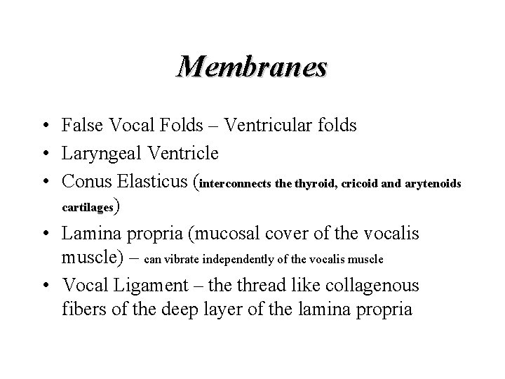Membranes • False Vocal Folds – Ventricular folds • Laryngeal Ventricle • Conus Elasticus