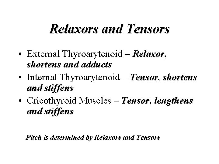 Relaxors and Tensors • External Thyroarytenoid – Relaxor, shortens and adducts • Internal Thyroarytenoid