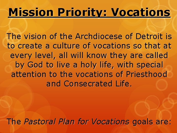 Mission Priority: Vocations The vision of the Archdiocese of Detroit is to create a
