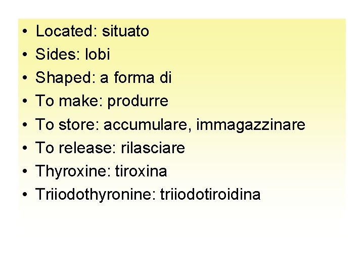  • • Located: situato Sides: lobi Shaped: a forma di To make: produrre