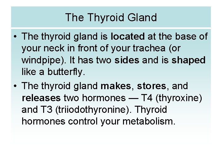 The Thyroid Gland • The thyroid gland is located at the base of your
