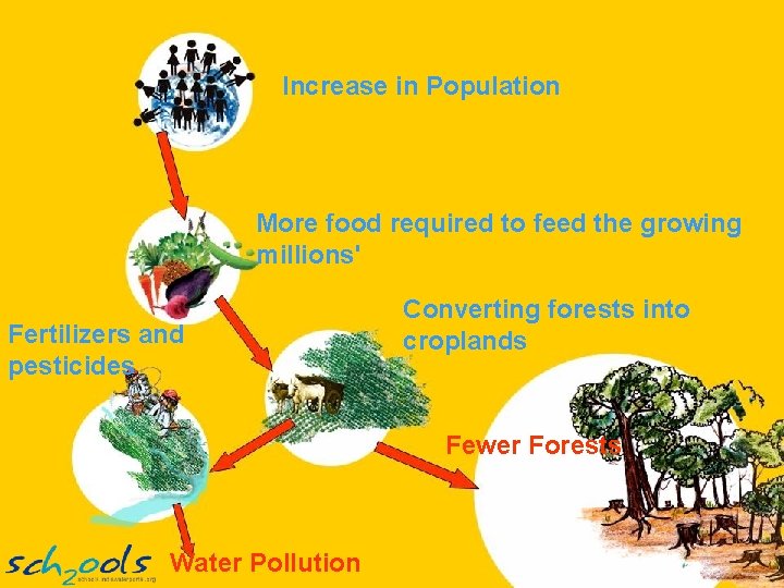 Increase in Population More food required to feed the growing millions' Fertilizers and pesticides