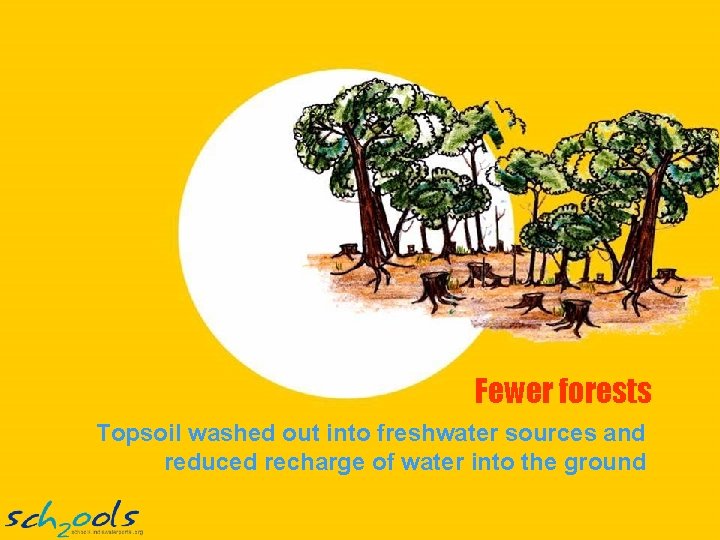 Fewer forests Topsoil washed out into freshwater sources and reduced recharge of water into