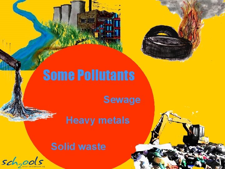 Some Pollutants Sewage Heavy metals Solid waste 