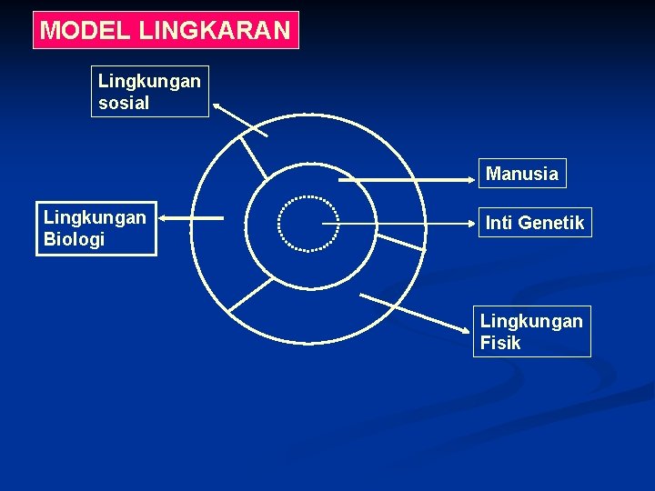 MODEL LINGKARAN Lingkungan sosial Manusia Lingkungan Biologi Inti Genetik Lingkungan Fisik 