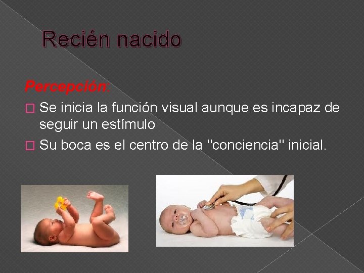 Recién nacido Percepción: Se inicia la función visual aunque es incapaz de seguir un