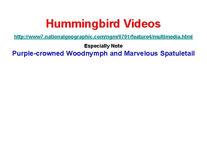 Hummingbird Videos http: //www 7. nationalgeographic. com/ngm/0701/feature 4/multimedia. html Especially Note Purple-crowned Woodnymph and