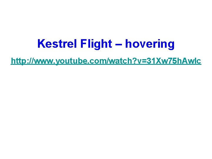 Kestrel Flight – hovering http: //www. youtube. com/watch? v=31 Xw 75 h. Aw. Ic