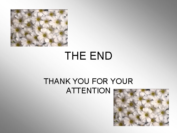 THE END THANK YOU FOR YOUR ATTENTION 