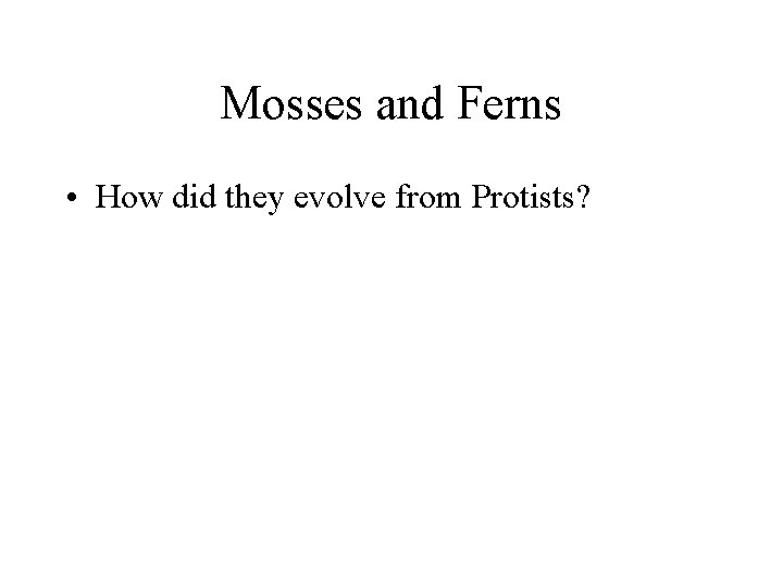 Mosses and Ferns • How did they evolve from Protists? 