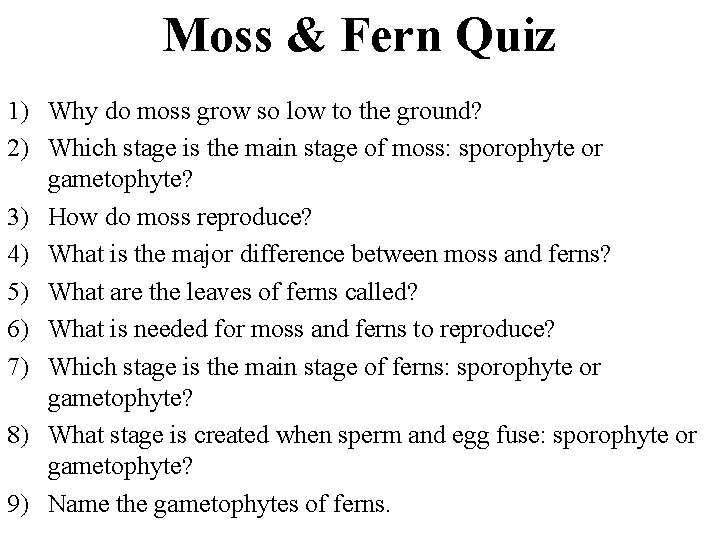 Moss & Fern Quiz 1) Why do moss grow so low to the ground?