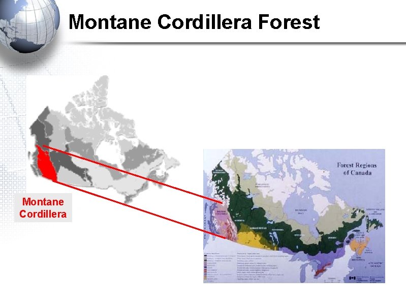 Montane Cordillera Forest Montane Cordillera Montane Cordillera Forest Montane Cordillera