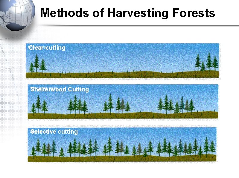 Methods of Harvesting Forests Clear-cutting Shelterwood Cutting Selective cutting Methods of Harvesting Forests Clear-cutting Shelterwood Cutting Selective cutting
