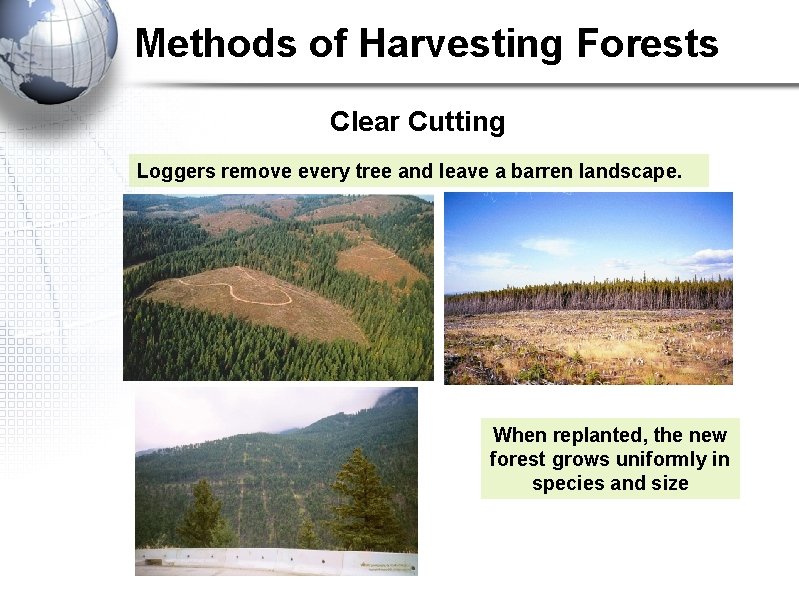Methods of Harvesting Forests Clear Cutting Loggers remove every tree and leave a barren Methods of Harvesting Forests Clear Cutting Loggers remove every tree and leave a barren